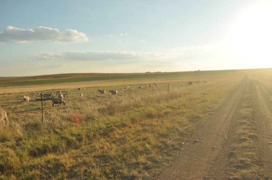 5 Bedroom Property for Sale in Reitz Rural Free State